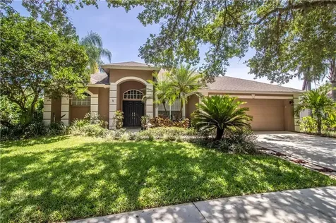 4412 River Overlook Drive Valrico FL 33596