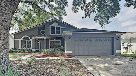 2241 Foggy Ridge Parkway Land O Lakes FL 34639