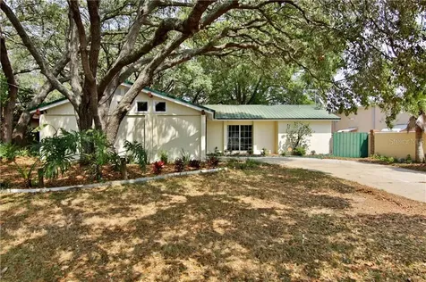 11701 Fife Avenue Tampa FL 33617