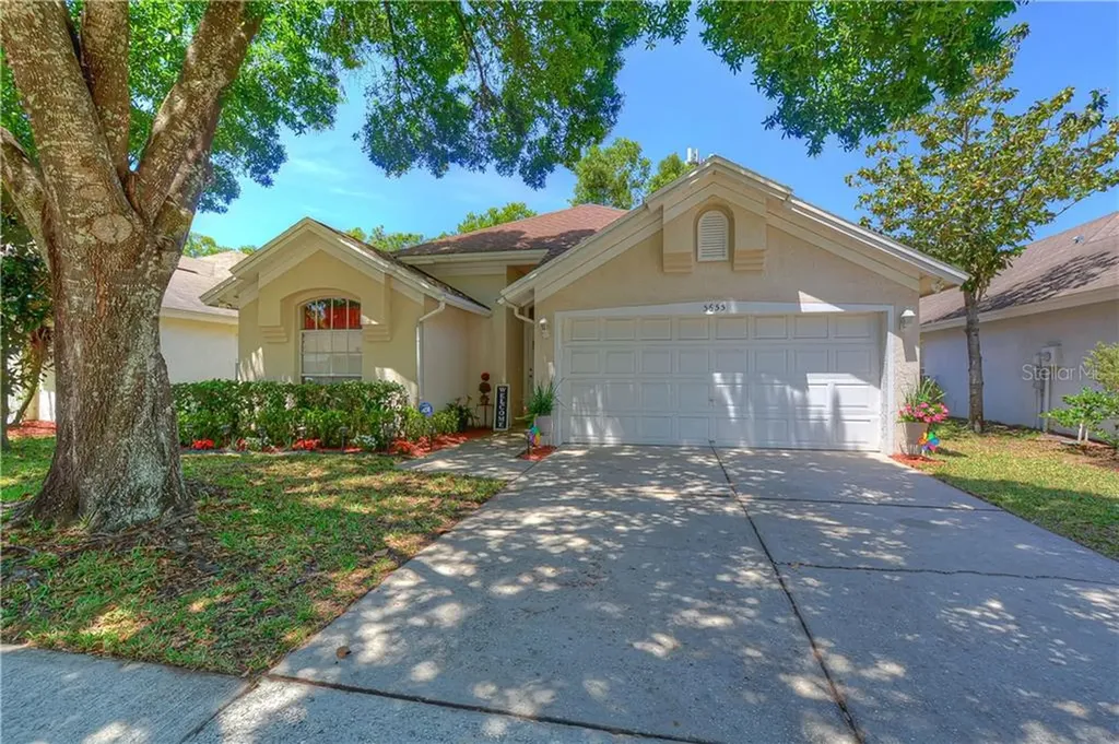 5655 Paddock Trail Drive Tampa FL 33624