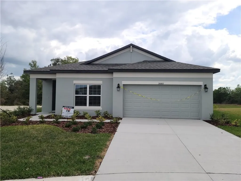 30801 Parrot Reef Court Wesley Chapel FL 33545