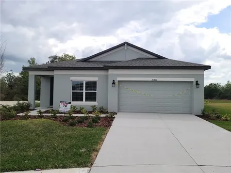 30801 Parrot Reef Court Wesley Chapel FL 33545