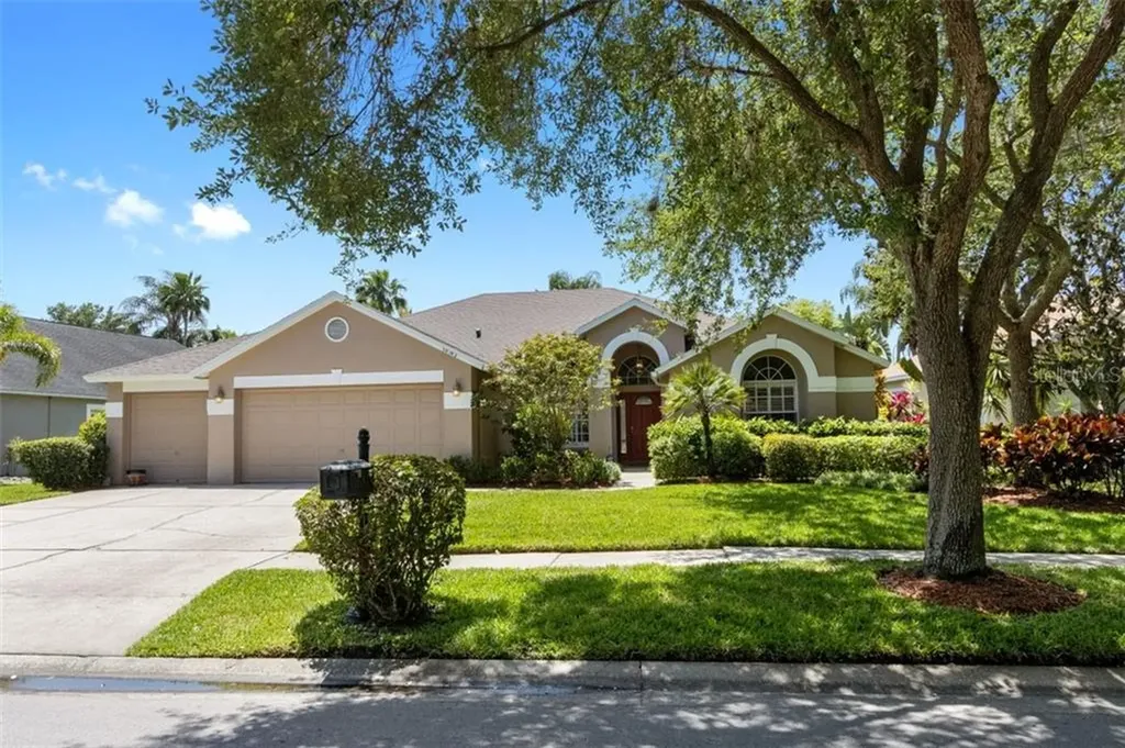 10742 Ayrshire Drive Tampa FL 33626