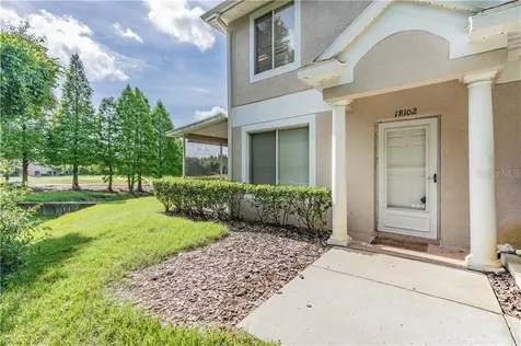 18102 Paradise Point Drive Tampa FL 33647