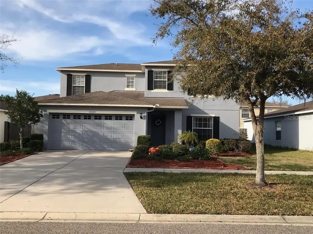 31009 Mandolin Cay Avenue Wesley Chapel FL 33543