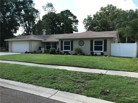 13303 Lake George Place Tampa FL 33618