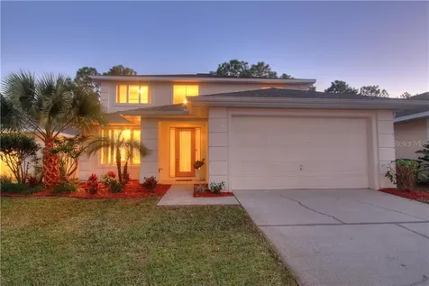 2904 Sunset Vista Court Kissimmee FL 34747