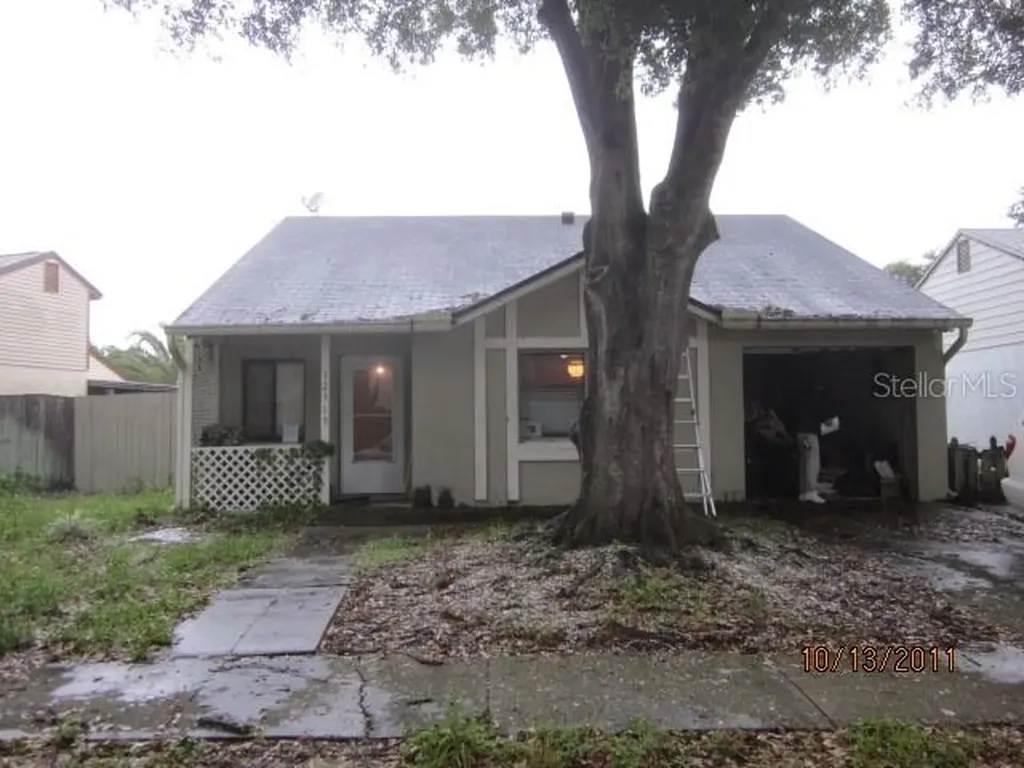 12319 Witheridge Drive Tampa FL 33624