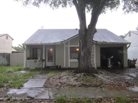 12319 Witheridge Drive Tampa FL 33624