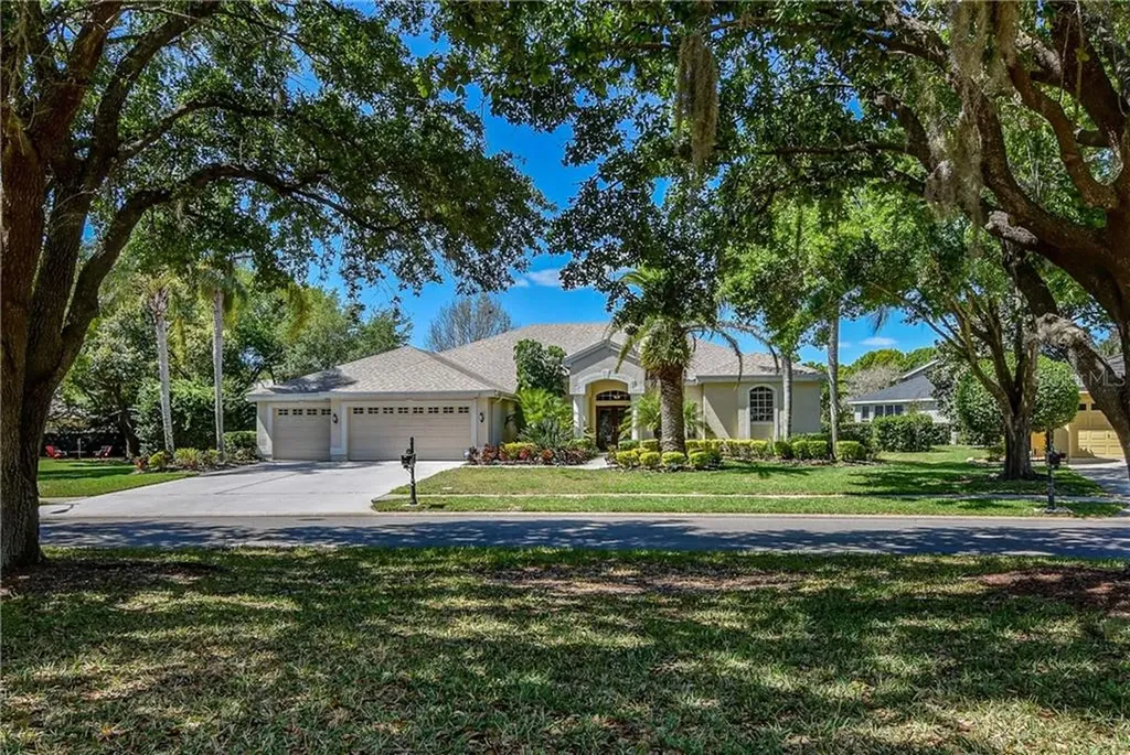 4046 Executive Drive Palm Harbor FL 34685