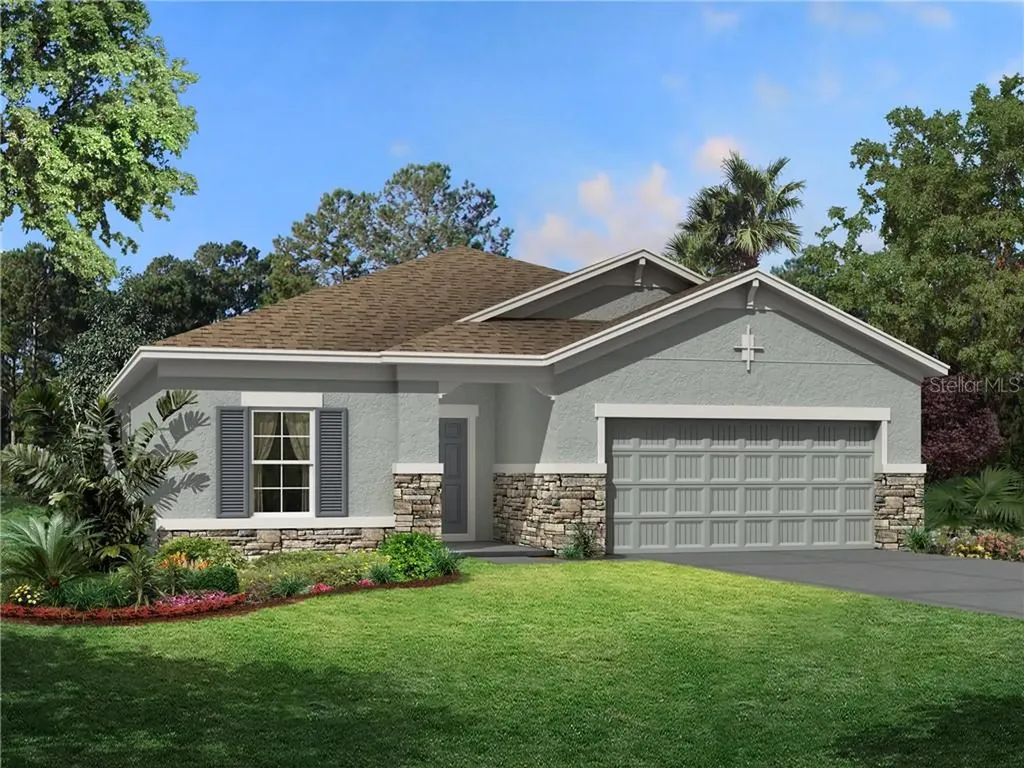 30415 Caravelle Lane Wesley Chapel FL 33545