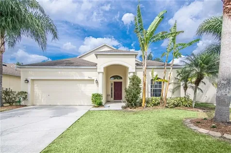 24421 Breezy Oak Court Lutz FL 33559
