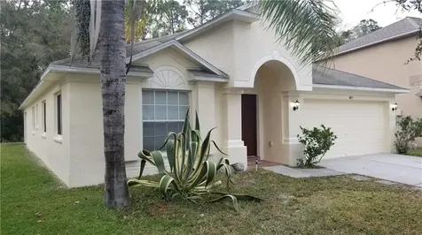 4815 Barchetta Drive Land O Lakes FL 34639