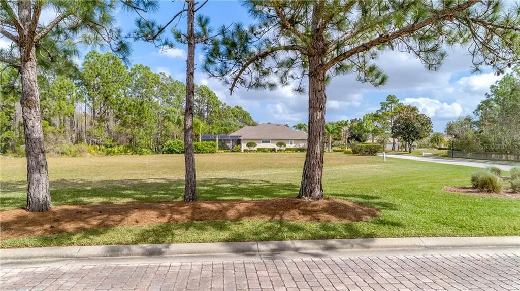 20 Lionspaw Grand Daytona Beach FL 32124