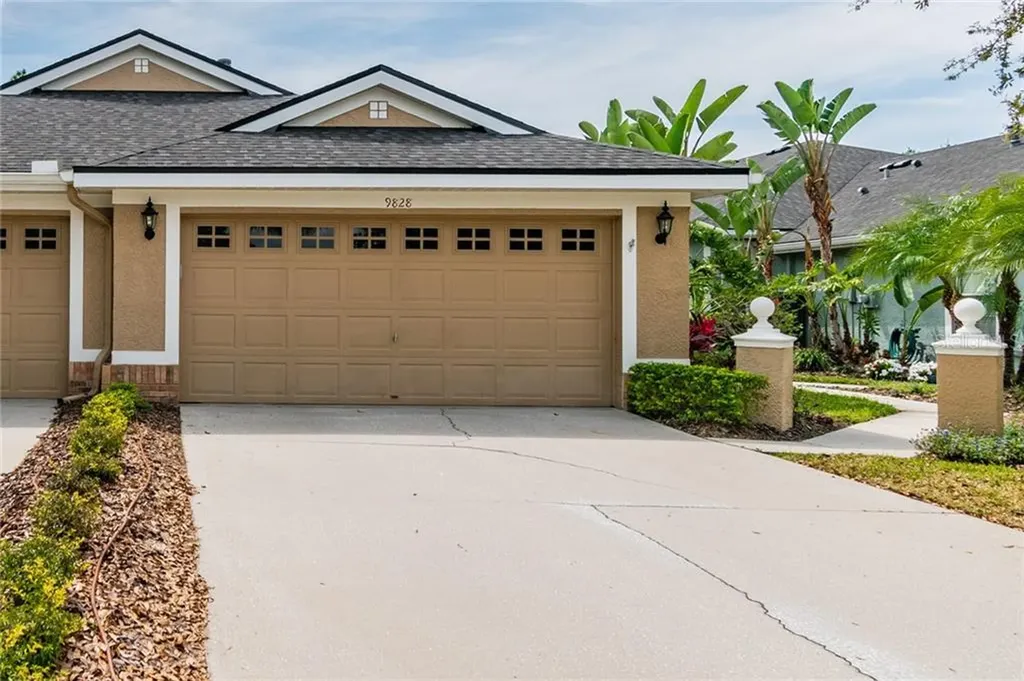 9828 Gingerwood Drive Tampa FL 33626
