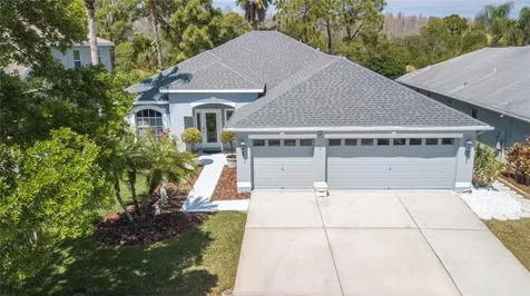 18810 Chopin Drive Lutz FL 33558