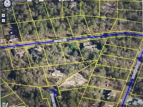 11819 Osprey Avenue Weeki Wachee FL 34614