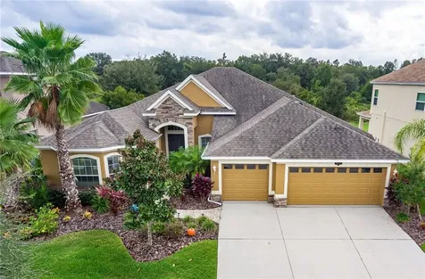 10517 Mistflower Lane Tampa FL 33647