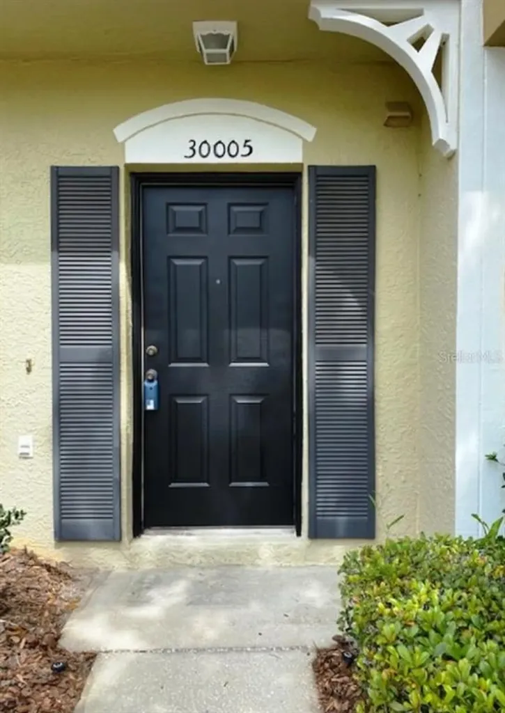 30005 Playa Del Rey Lane Wesley Chapel FL 33543