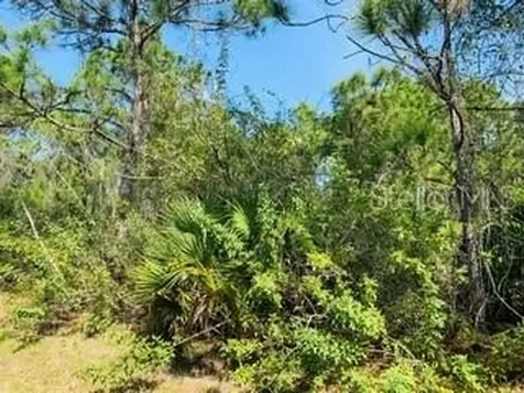 12384 Paramount Drive Punta Gorda FL 33955