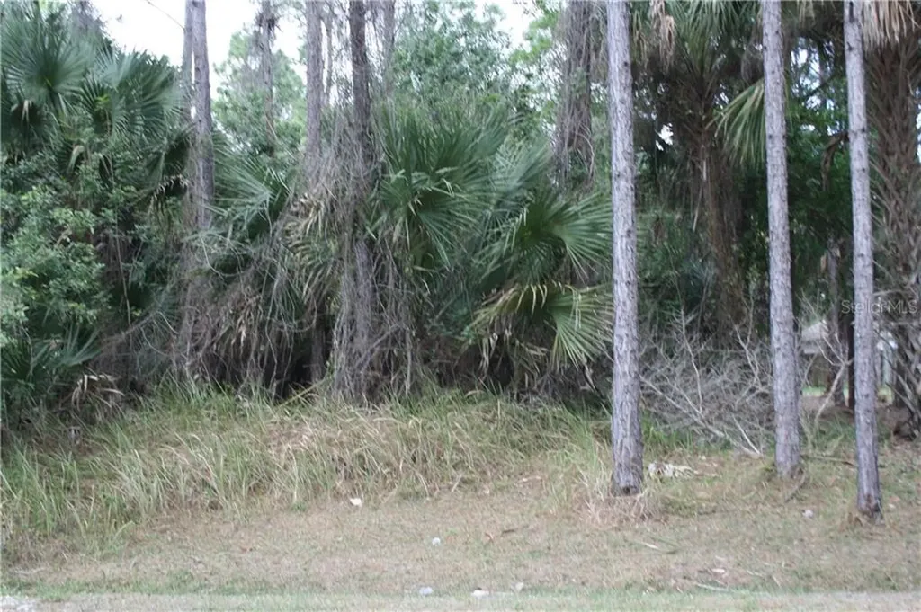491 Lackland Street SW Palm Bay FL 32908