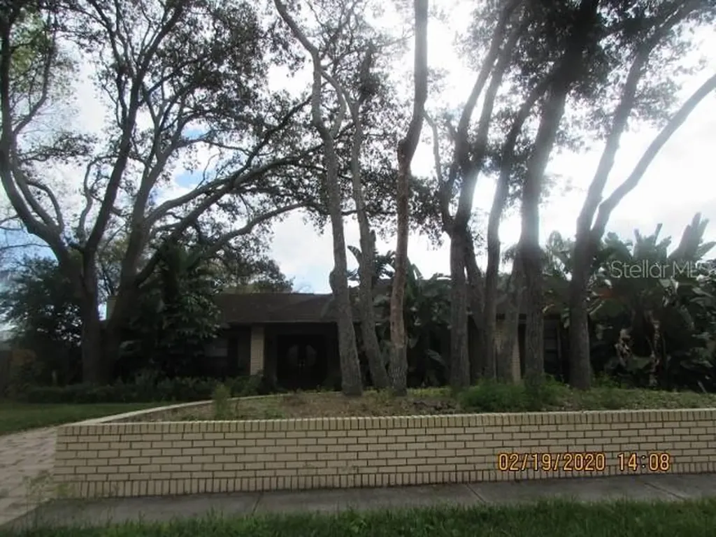 915 Terra Mar Drive Tampa FL 33613