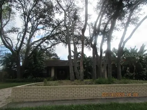 915 Terra Mar Drive Tampa FL 33613