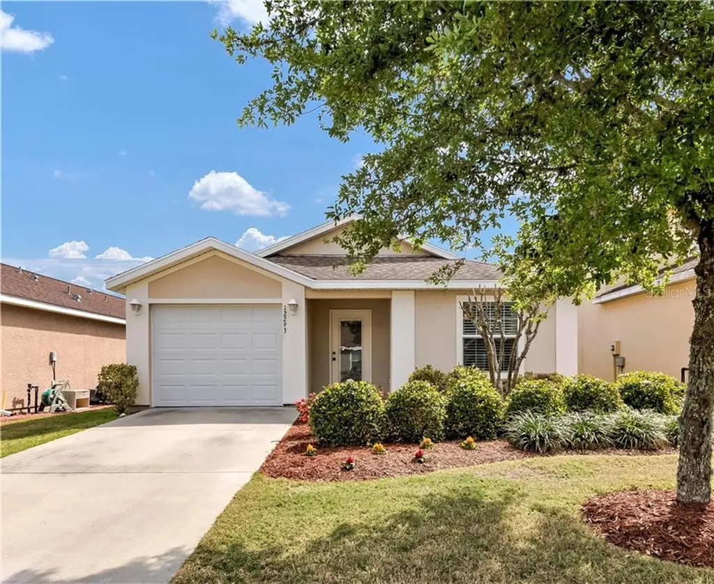 12293 NE 48th Loop Oxford FL 34484