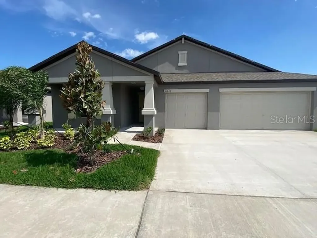 10828 Crushed Grape Drive Riverview FL 33578