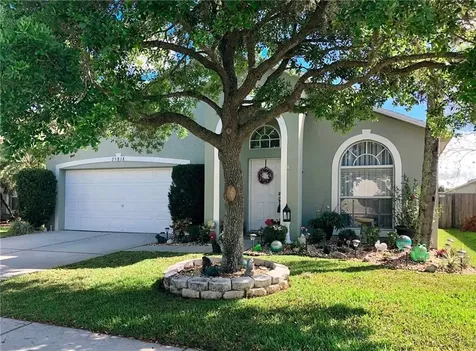 25818 Bloomsbury Court Land O Lakes FL 34639