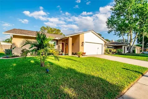 1693 E Groveleaf Avenue Palm Harbor FL 34683