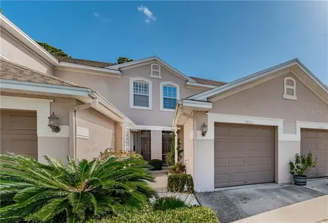 3623 Country Pointe Place Palm Harbor FL 34684