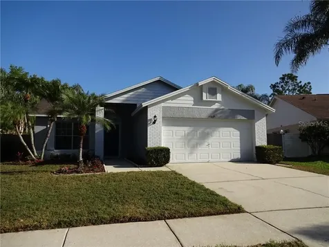 11619 Fox Creek Drive Tampa FL 33635