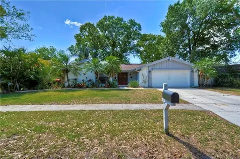 15614 Bear Creek Drive Tampa FL 33624