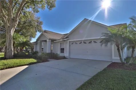 9213 Sunflower Drive Tampa FL 33647