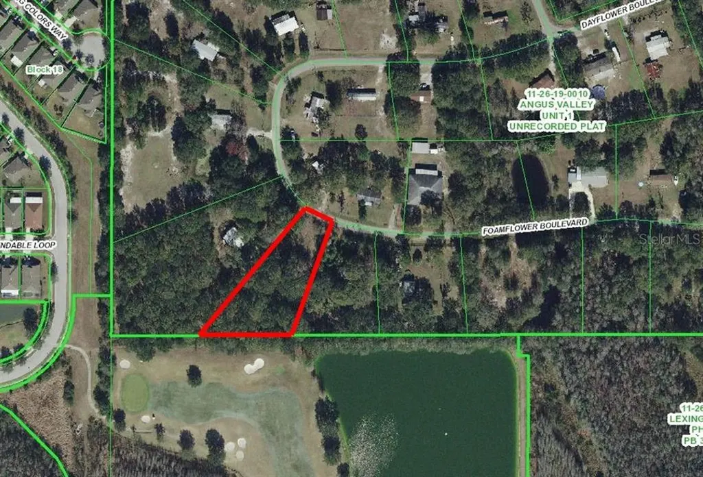 26102 Foamflower Boulevard Wesley Chapel FL 33544