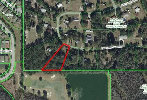 26102 Foamflower Boulevard Wesley Chapel FL 33544