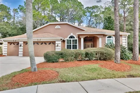 1055 Hunters Place Oldsmar FL 34677