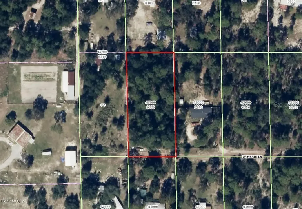 6951 W Mable Lane Dunnellon FL 34433
