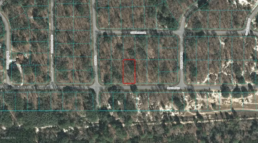 00 Guava Pass Ocklawaha FL 32179