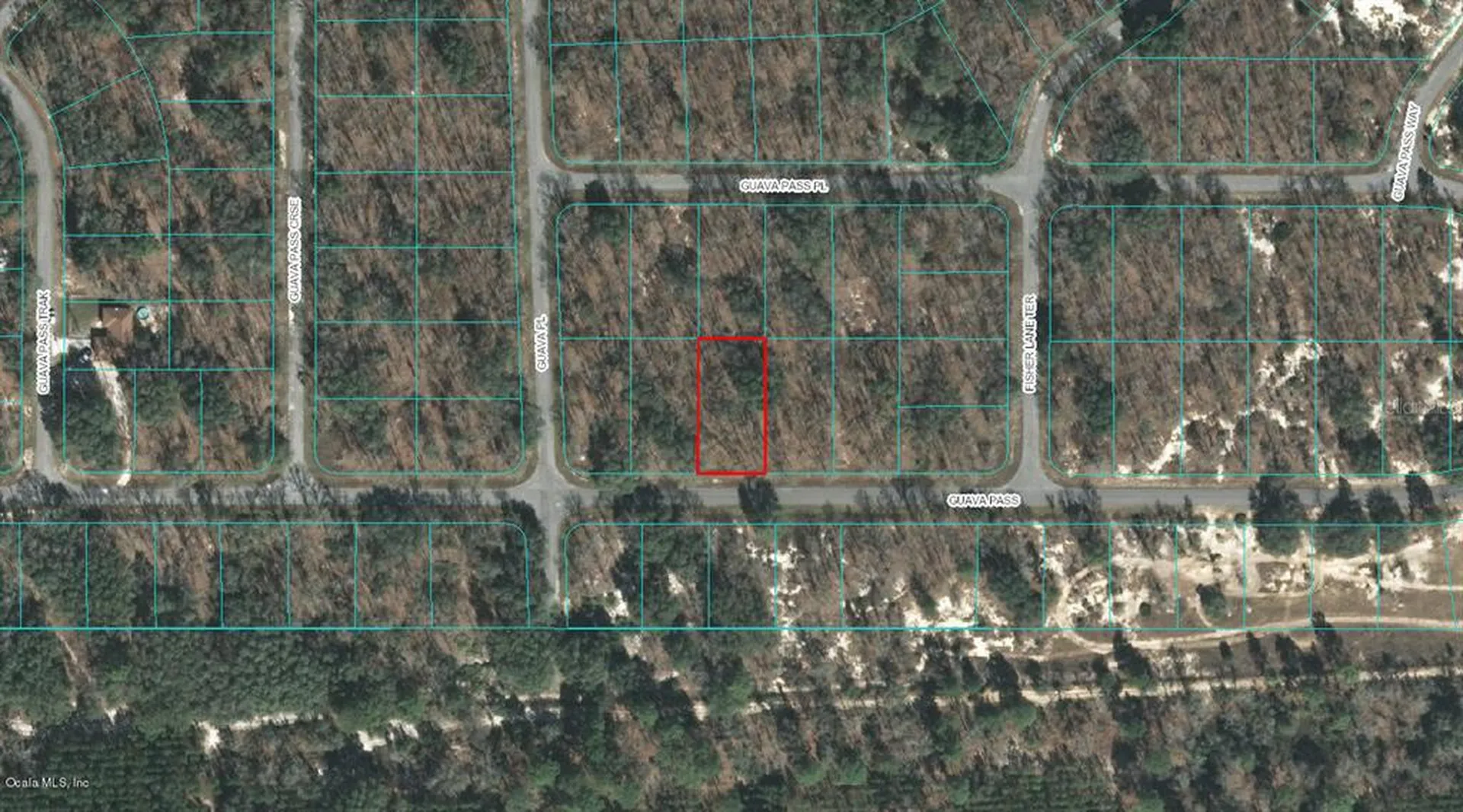 00 Guava Pass Ocklawaha FL 32179