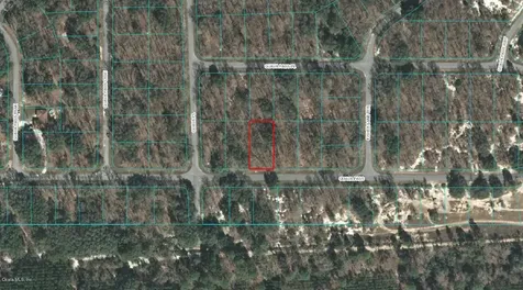 00 Guava Pass Ocklawaha FL 32179
