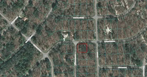 00 Guava Pass Course Ocklawaha FL 32179