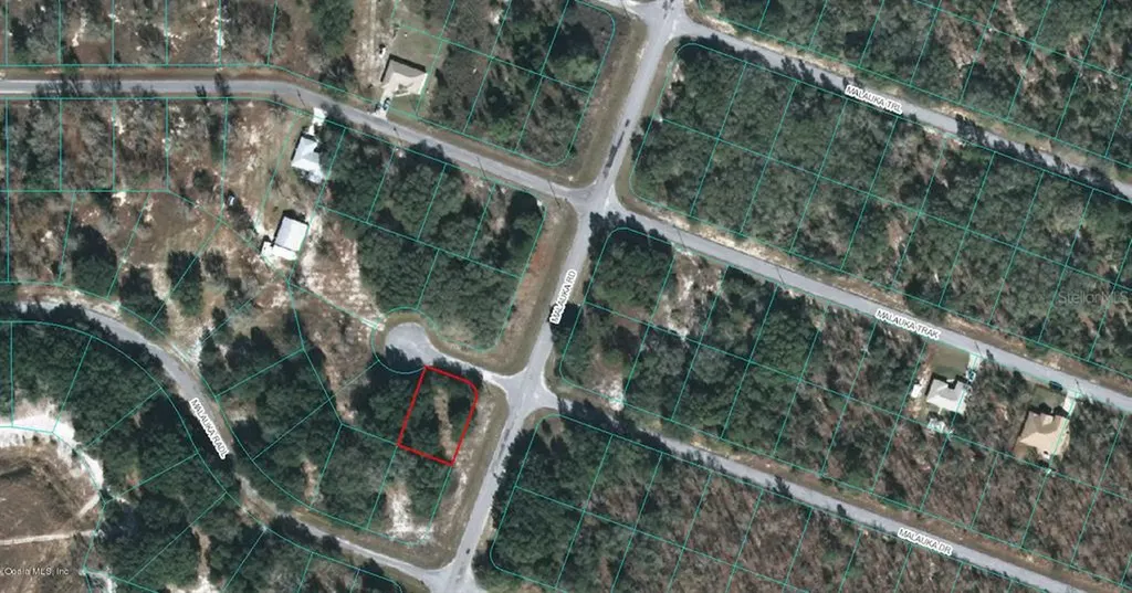 00 Malauka Drive Ocklawaha FL 32179
