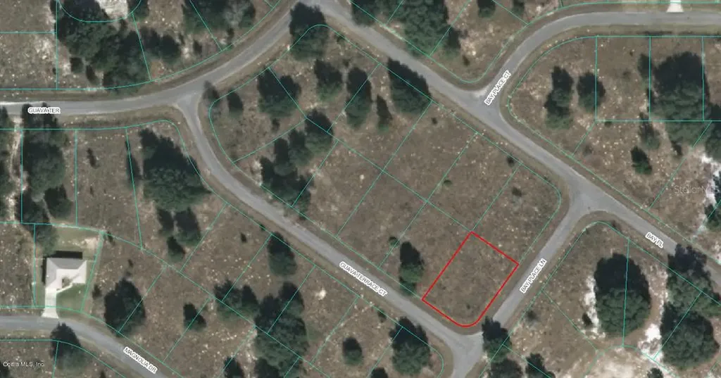 00 Guava Terrace Court Ocklawaha FL 32179