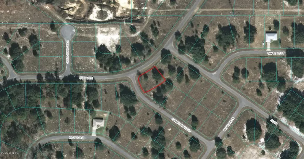 00 Guava Terrace Court Ocklawaha FL 32179