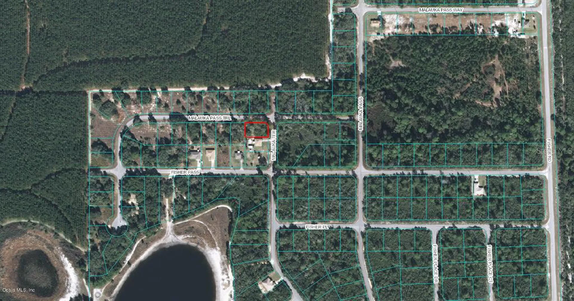00 Malauka Terrace Ocklawaha FL 32179