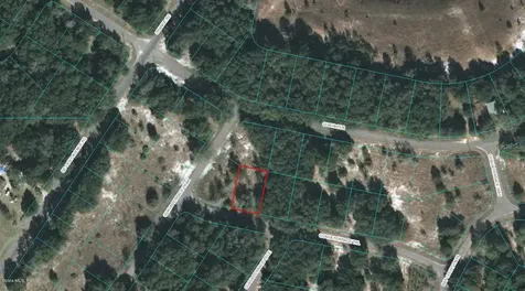 00 Guava Terrace Trail Ocklawaha FL 32179
