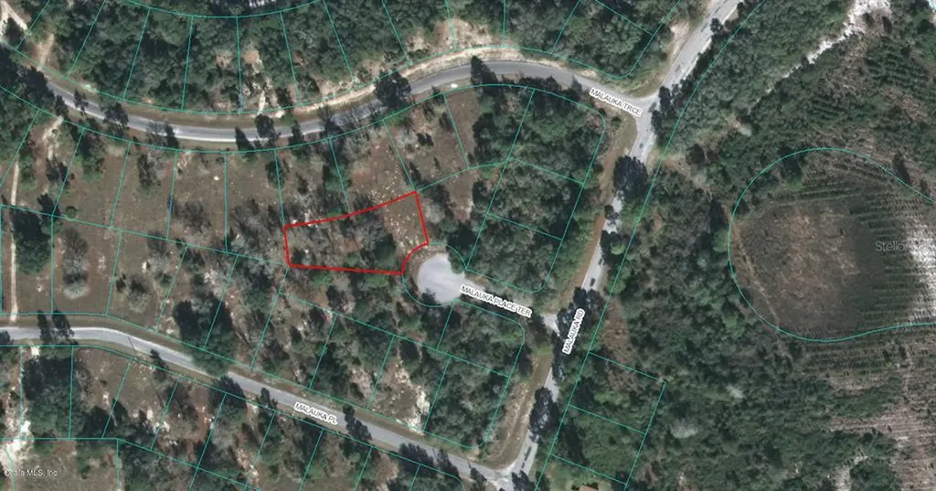 00 Malauka Place Terrace Ocklawaha FL 32179
