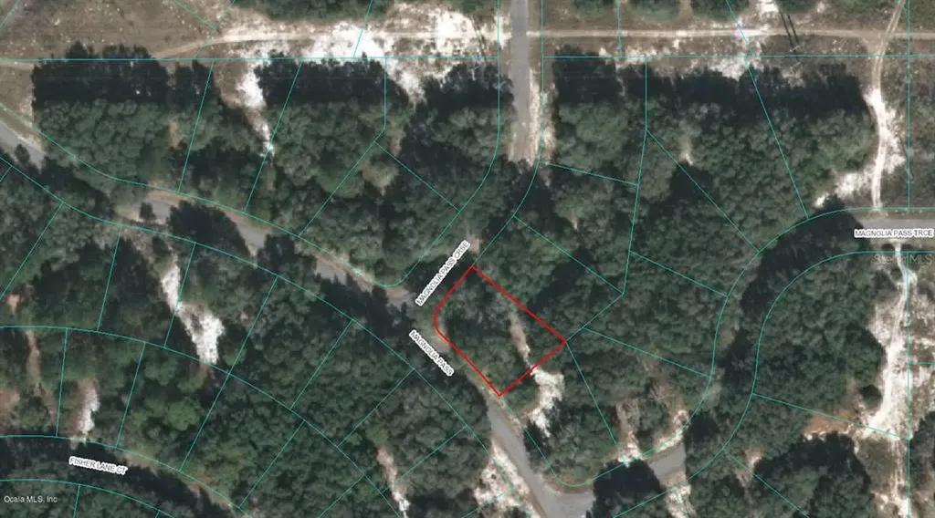 00 Magnolia Pass Course Ocklawaha FL 32179